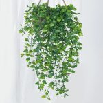 Artificial Ivy Hanging Plant – Plastic Greenery for Home, Garden & Festival Decorations